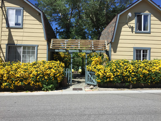 The Haven June Lake For Sale